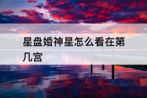 星盘婚神星怎么看在第几宫