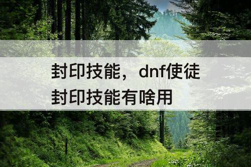 封印技能，dnf使徒封印技能有啥用