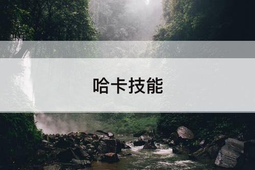 哈卡技能