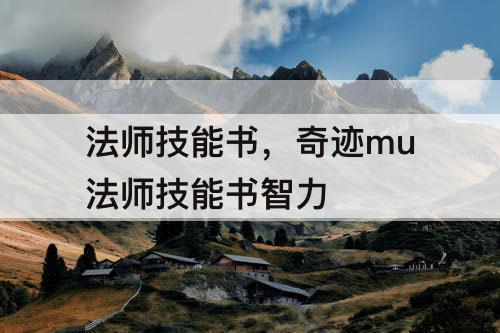 法师技能书，奇迹mu法师技能书智力