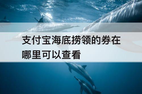 支付宝海底捞领的券在哪里可以查看