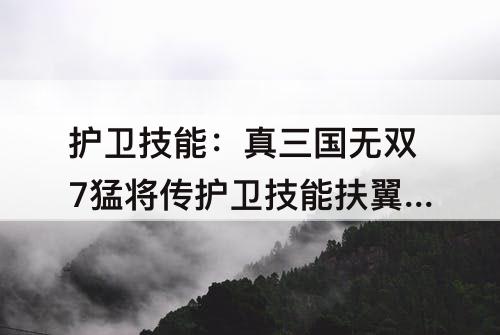 护卫技能：真三国无双7猛将传护卫技能扶翼之力成长