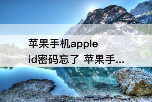 苹果手机apple id密码忘了 苹果手机apple id密码忘了手机号也换了