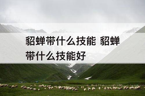 貂蝉带什么技能 貂蝉带什么技能好