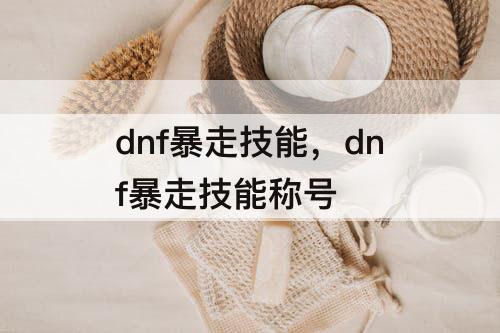 dnf暴走技能，dnf暴走技能称号