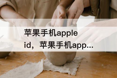 苹果手机apple id，苹果手机apple id格式