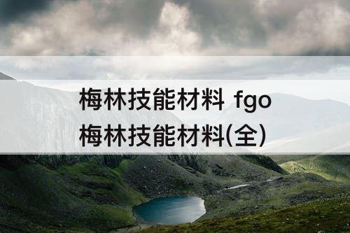 梅林技能材料 fgo梅林技能材料(全)
