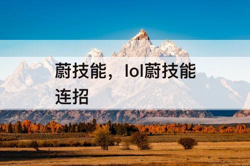 蔚技能，lol蔚技能连招
