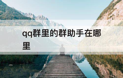 qq群里的群助手在哪里