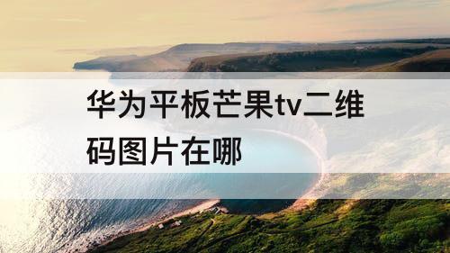华为平板芒果tv二维码图片在哪