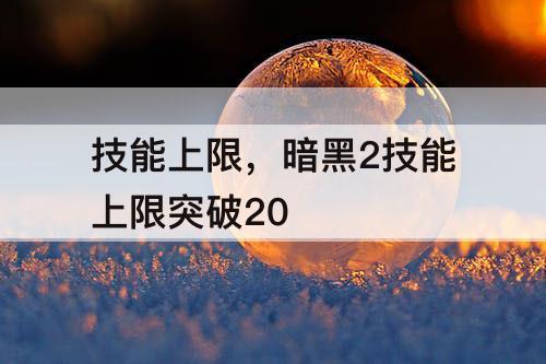 技能上限，暗黑2技能上限突破20
