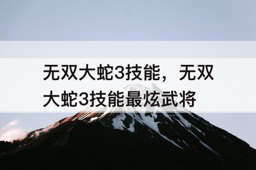 无双大蛇3技能，无双大蛇3技能最炫武将