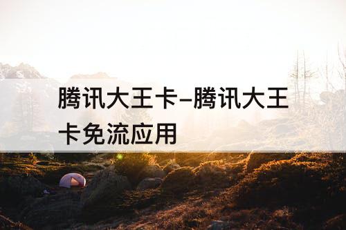 腾讯大王卡-腾讯大王卡免流应用