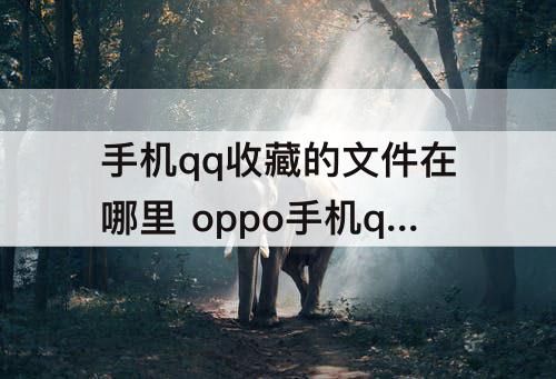 手机qq收藏的文件在哪里 oppo手机qq收藏的文件在哪里找