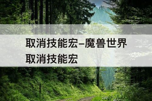 取消技能宏-魔兽世界取消技能宏