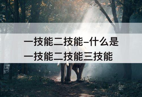 一技能二技能-什么是一技能二技能三技能