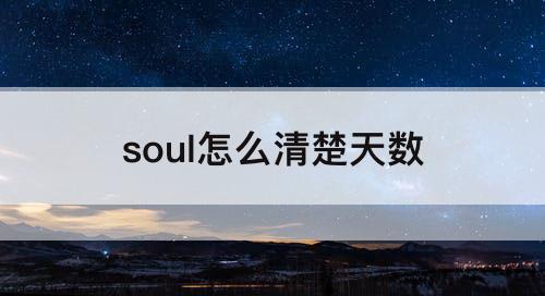 soul怎么清楚天数