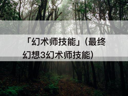 「幻术师技能」(最终幻想3幻术师技能)