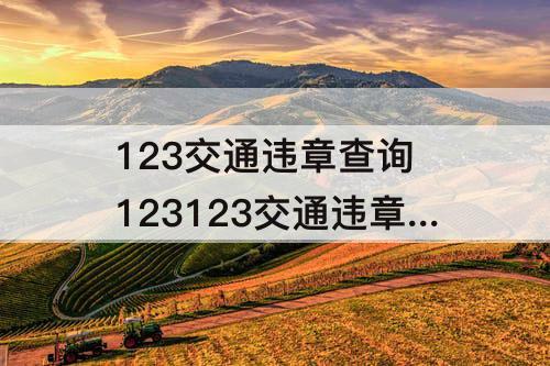 123交通违章查询 123123交通违章查询下载预约
