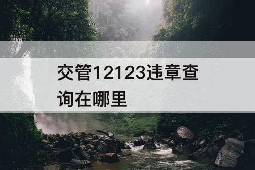 交管12123违章查询在哪里