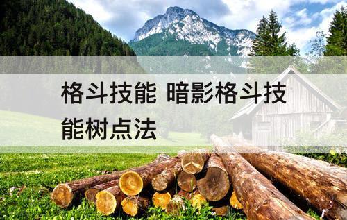 格斗技能 暗影格斗技能树点法