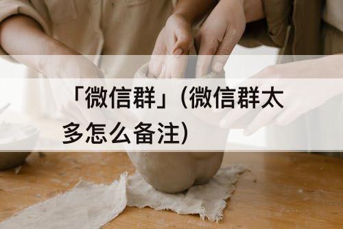 「微信群」(微信群太多怎么备注)