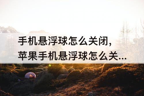 手机悬浮球怎么关闭，苹果手机悬浮球怎么关闭?