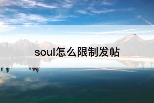soul怎么限制发帖