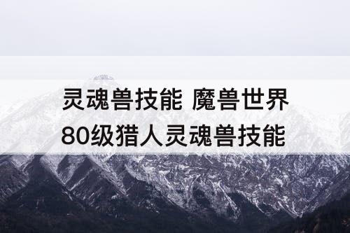 灵魂兽技能 魔兽世界80级猎人灵魂兽技能