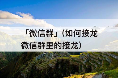 「微信群」(如何接龙微信群里的接龙)