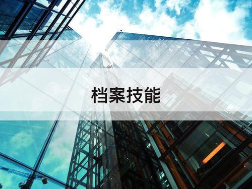 档案技能