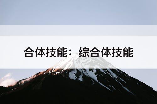 合体技能：综合体技能
