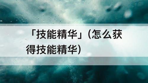 「技能精华」(怎么获得技能精华)