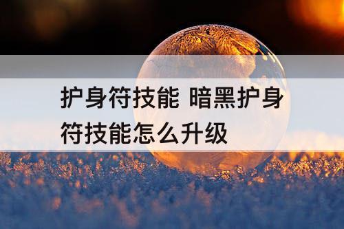 护身符技能 暗黑护身符技能怎么升级