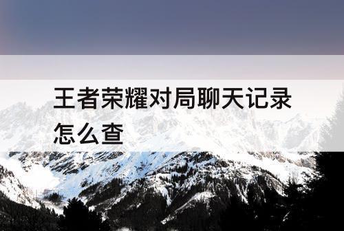 王者荣耀对局聊天记录怎么查