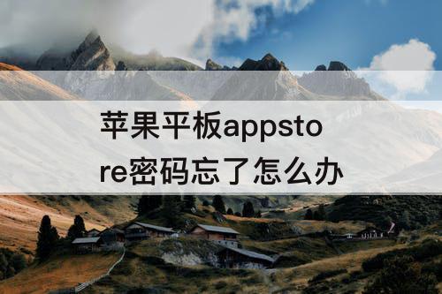 苹果平板appstore密码忘了怎么办