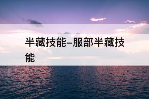 半藏技能-服部半藏技能
