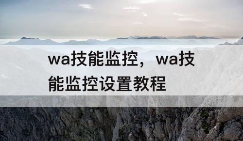 wa技能监控，wa技能监控设置教程