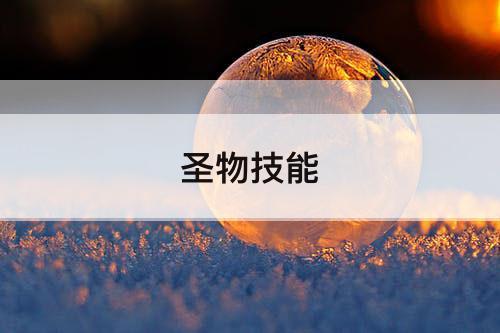 圣物技能