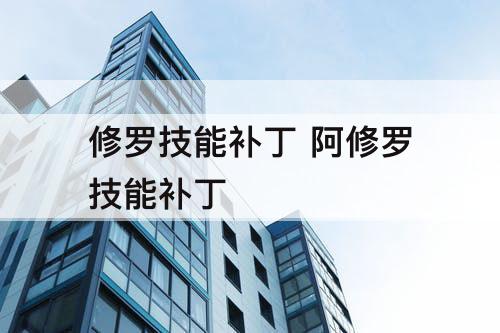 修罗技能补丁 阿修罗技能补丁