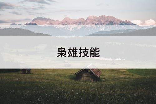 枭雄技能
