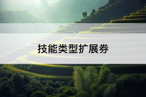 技能类型扩展券