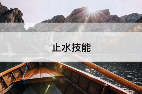 止水技能