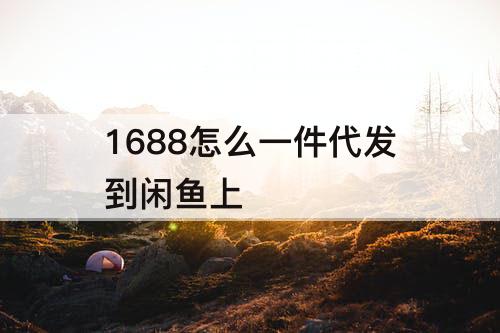 1688怎么一件代发到闲鱼上