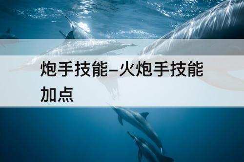 炮手技能-火炮手技能加点