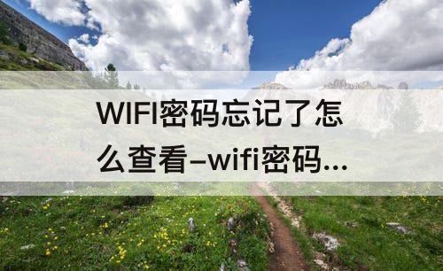 WIFI密码忘记了怎么查看-wifi密码忘记了怎么查看密码