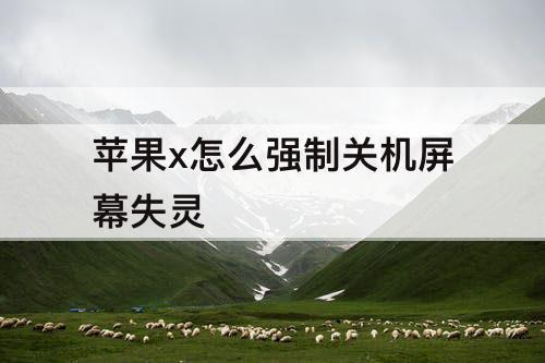苹果x怎么强制关机屏幕失灵