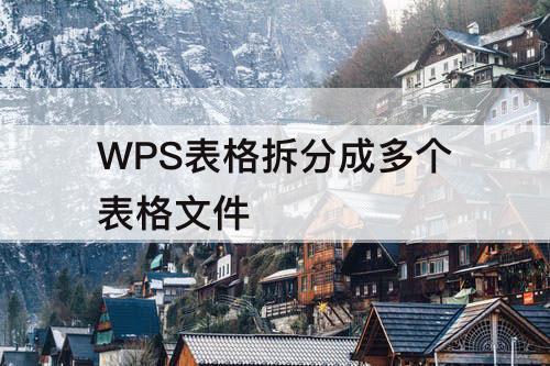 WPS表格拆分成多个表格文件