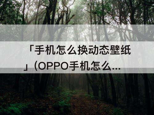 「手机怎么换动态壁纸」(OPPO手机怎么换动态壁纸)