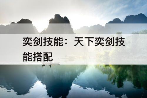 奕剑技能：天下奕剑技能搭配